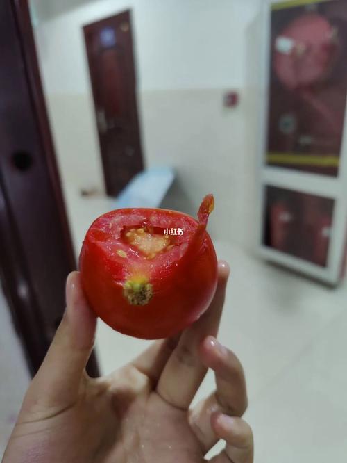 吃西红柿会变白吗